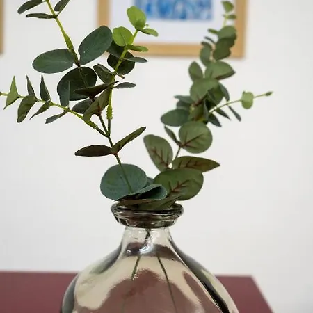 Bed & Breakfast Aurora Ciro Marina